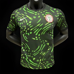 Player Version 2024 Nigeria Home Jersey