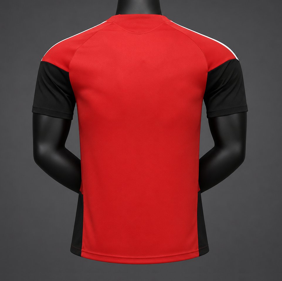 Player Version 26/27 Germany National Team Home Red Jersey